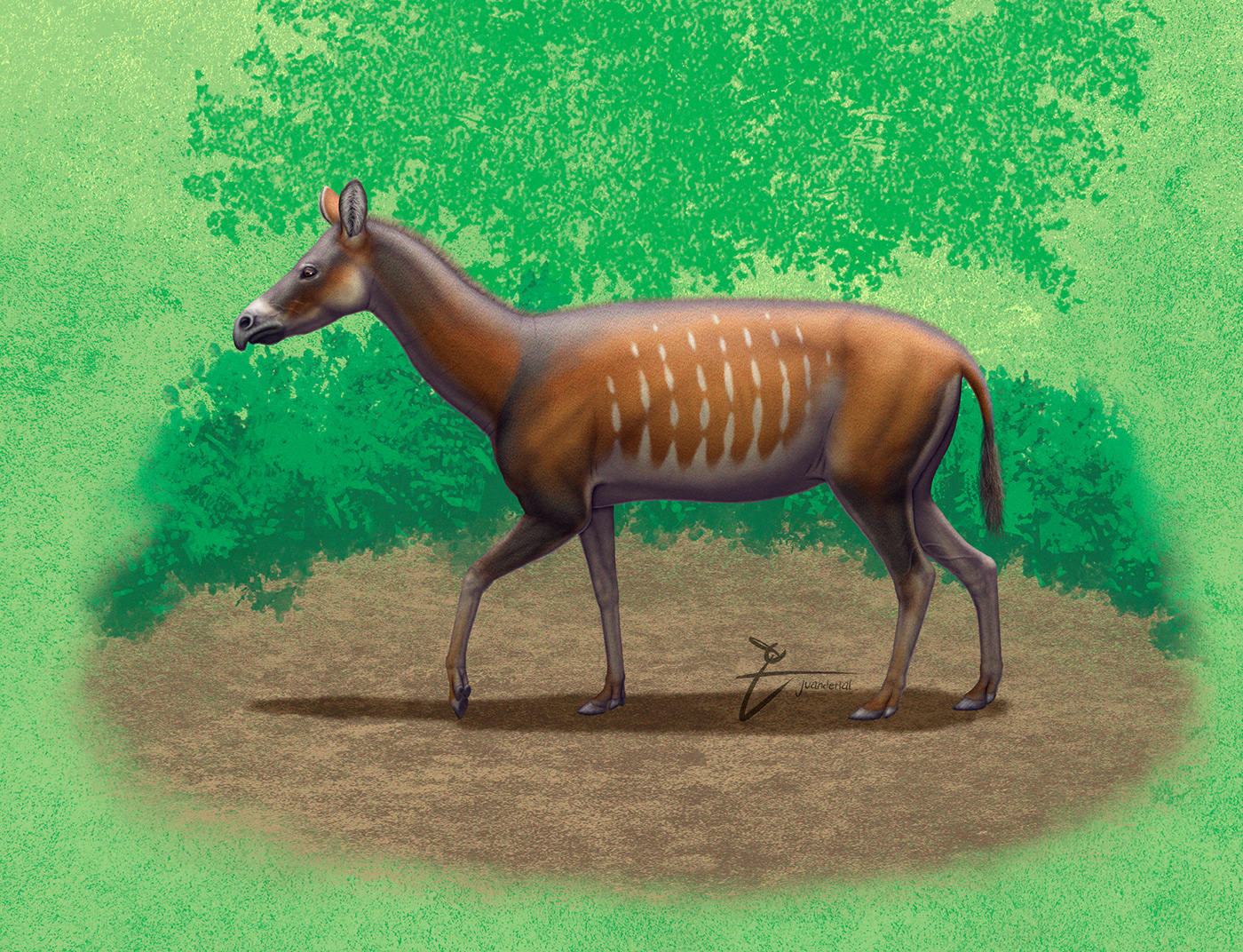equidae Fossil horse Miocene paleoart Prehistory