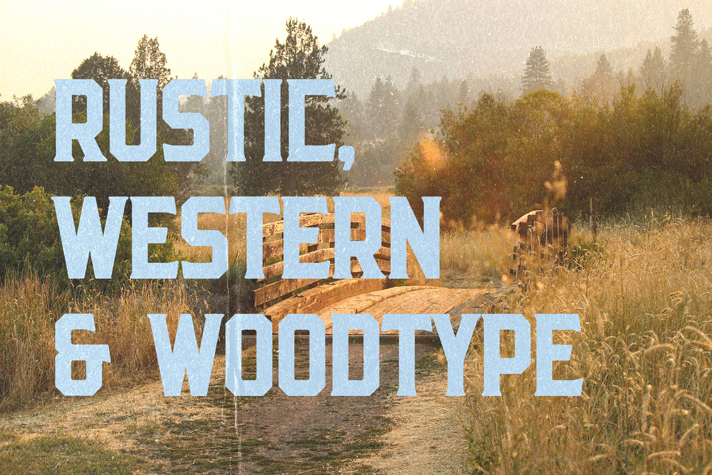 wood type Typeface font western font wild west wooden font cowboy texas logo font