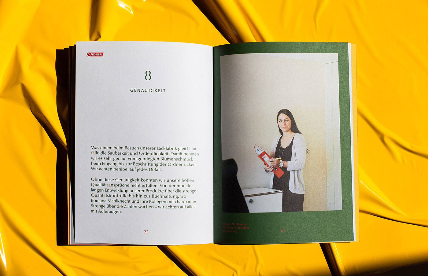 color brochure paint portraits corporate publishing graz austria
