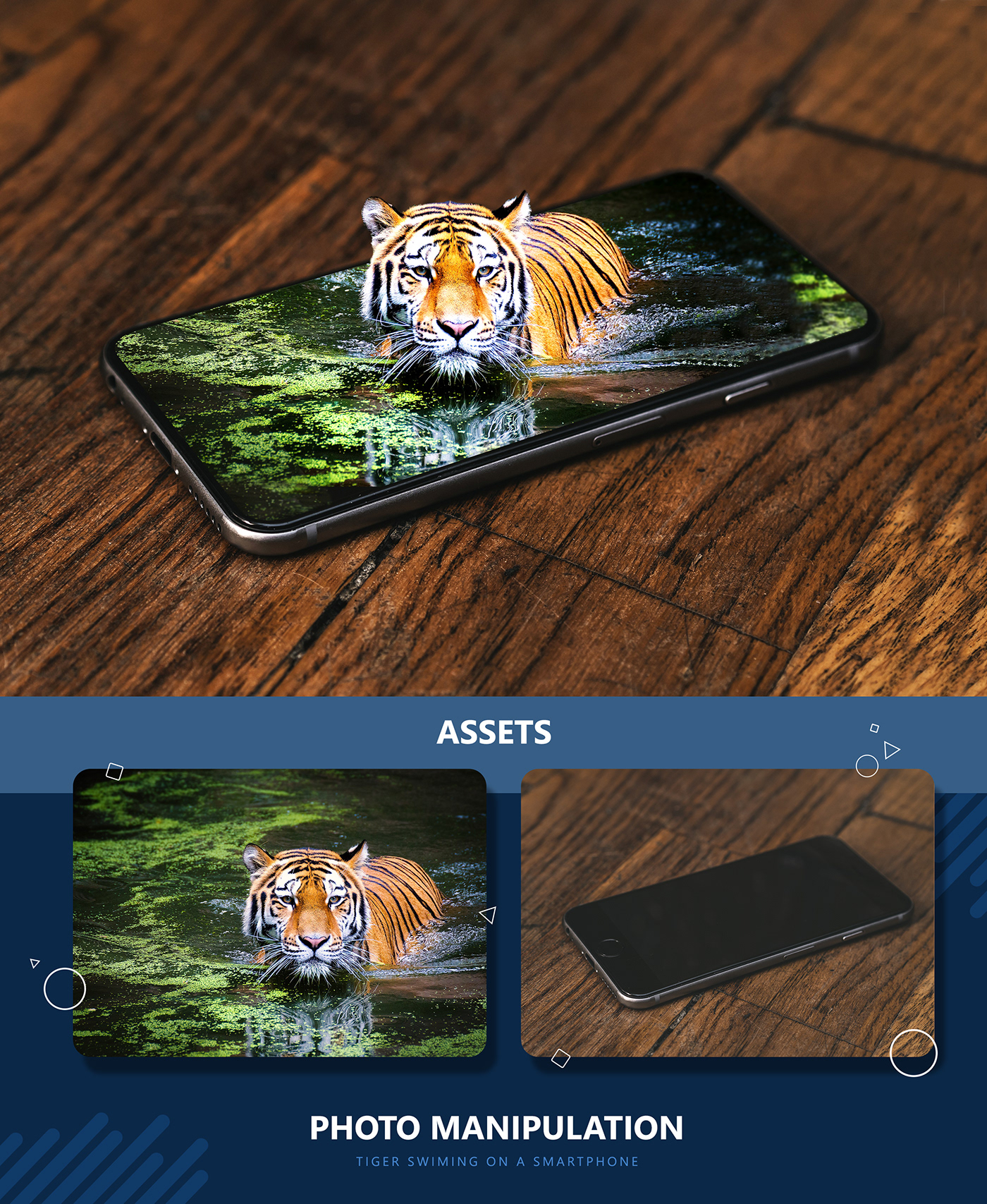 Advertising  animal concept Digital Art  manipulation photo tiger tiger swimming visual