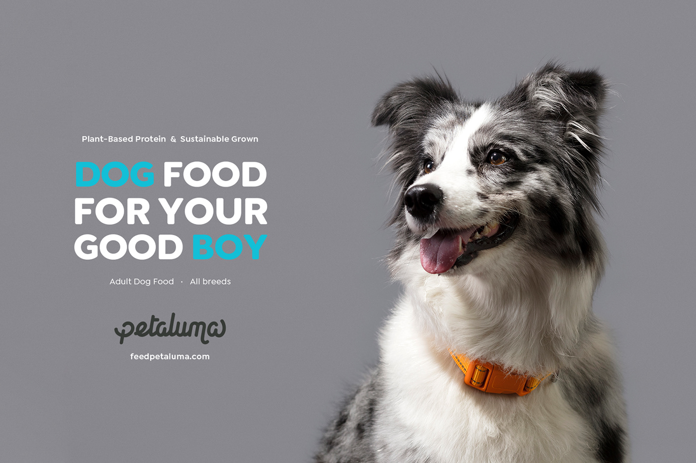 branding  dog dog food ILLUSTRATION  pets sweet potato vegan vegan dog food bowl peanut butter