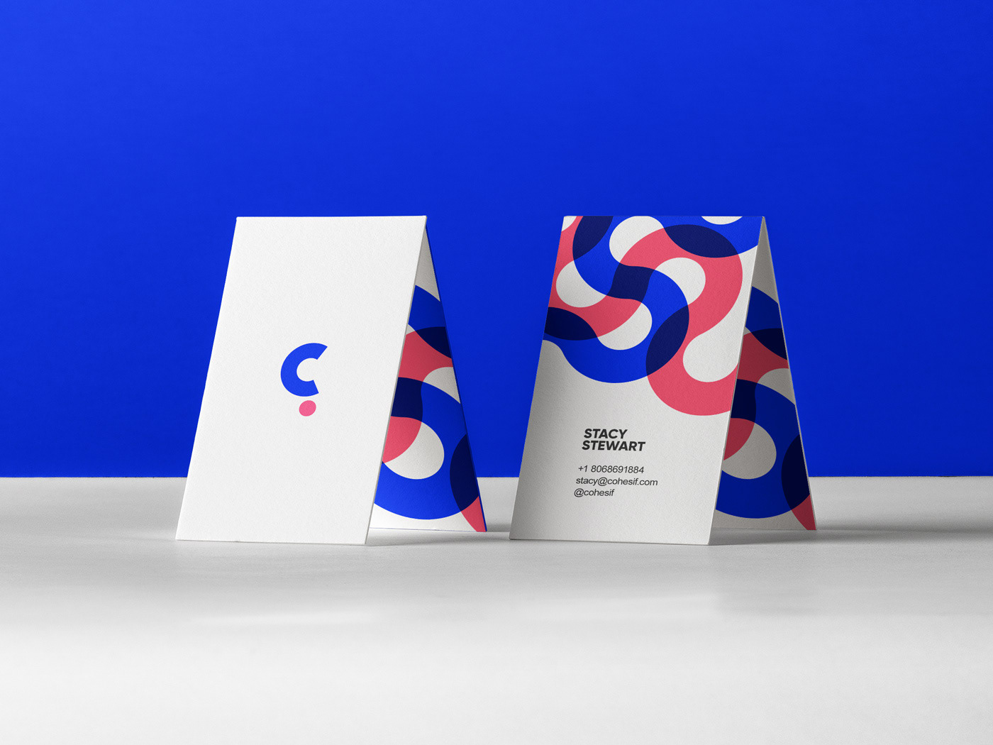 brand guide Beautiful Colourful  graphic design  identity typography   Plogged blue logo logos