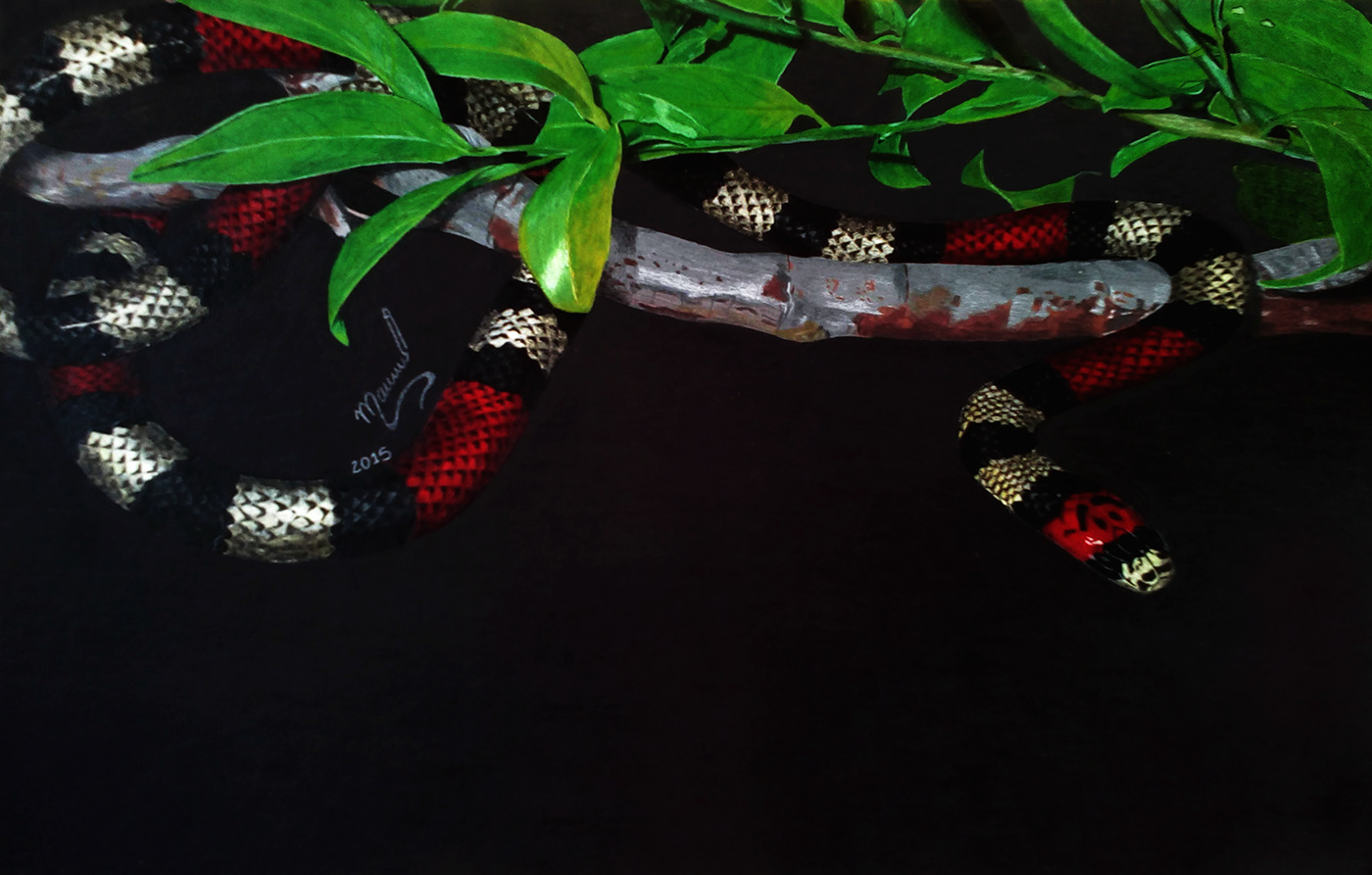 coral creyon hiperrealismo pintura serpiente