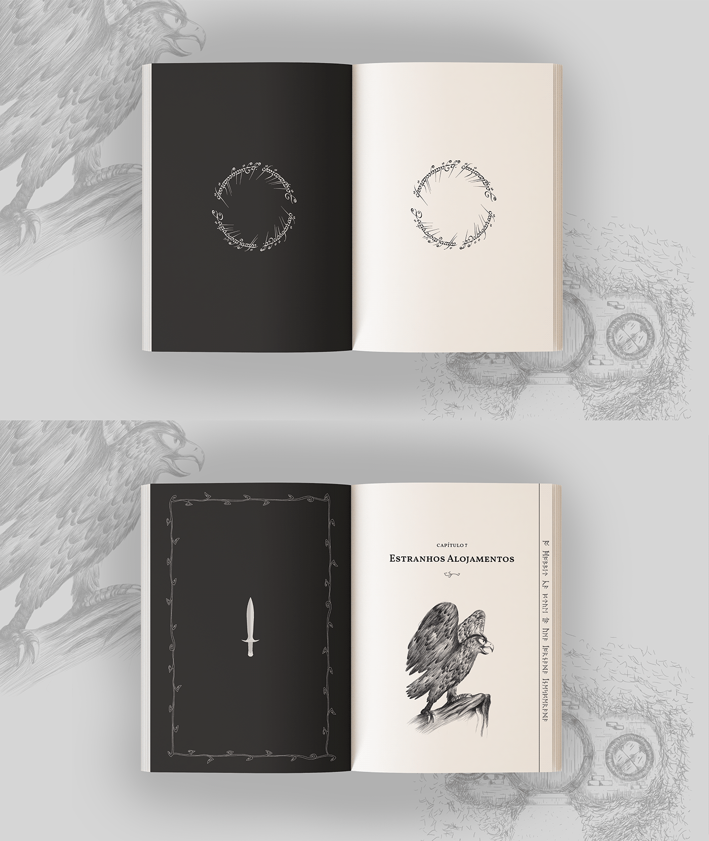 book cover design diagramação Digital Art  editorial ILLUSTRATION 