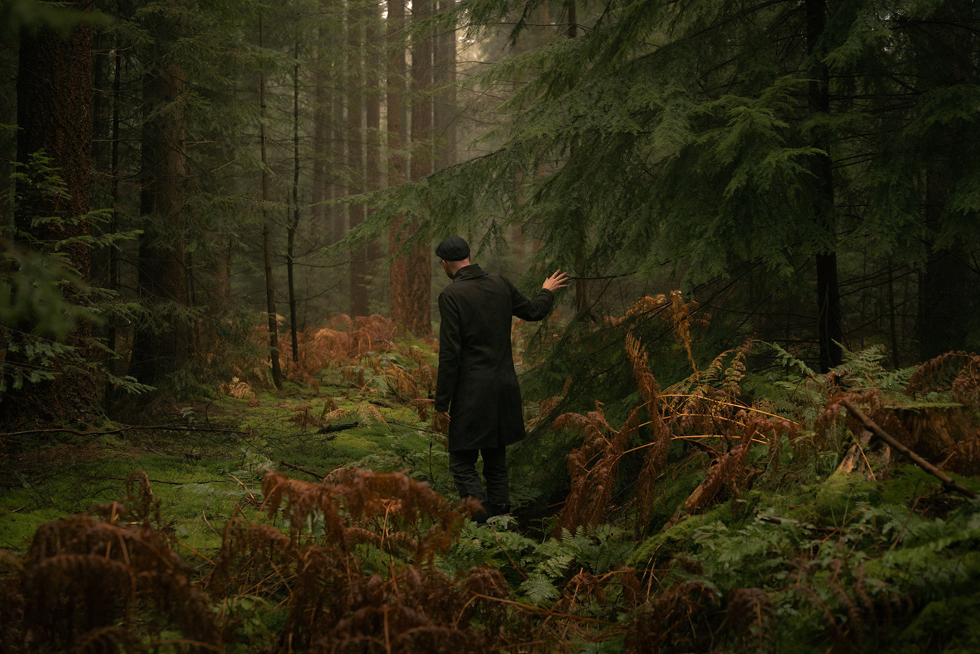 autumn forest self portrait portrait Landscape landscape photography trees Photography  cinematography cinematic
