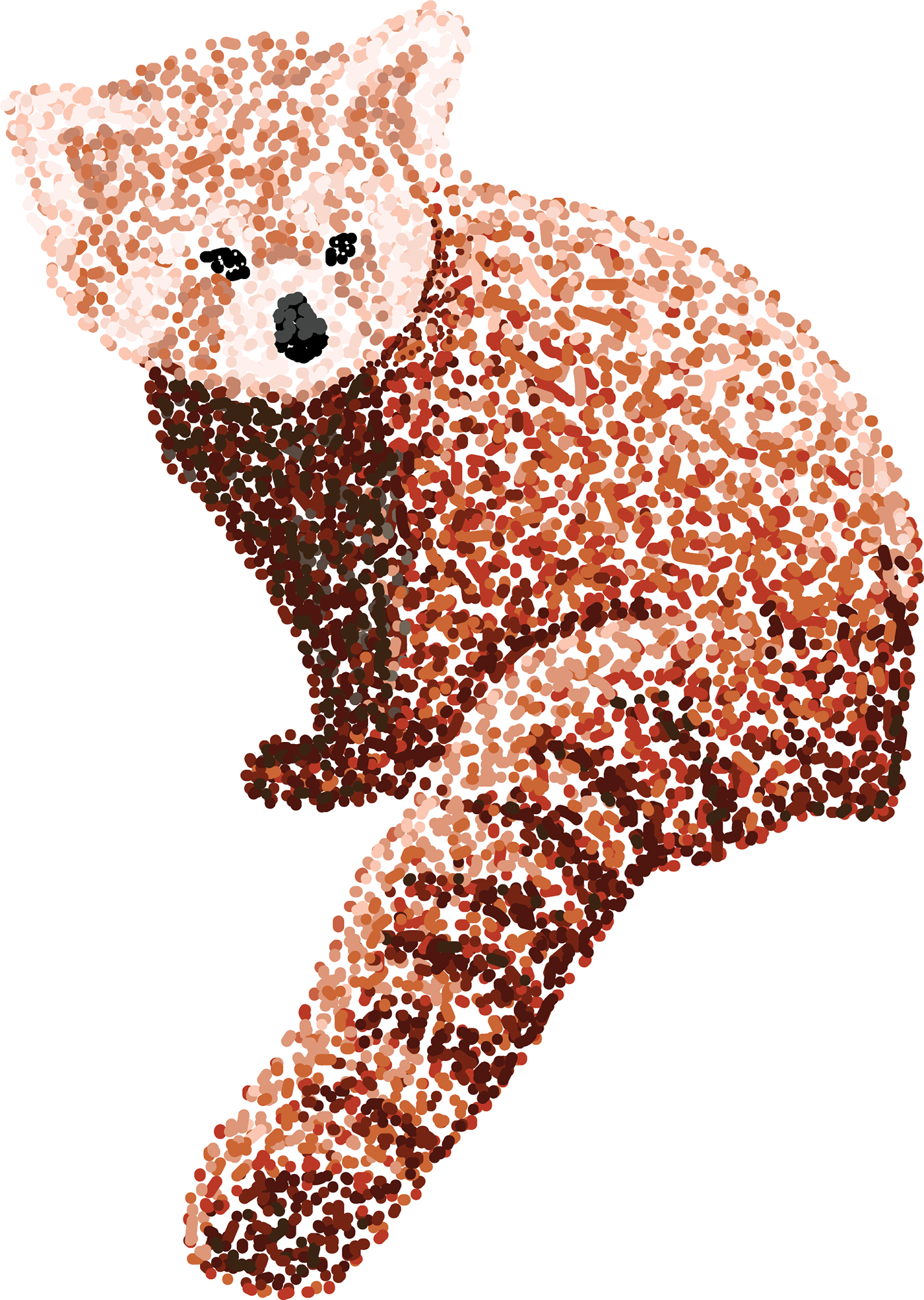 dots color Panda  red panda Abstract Art