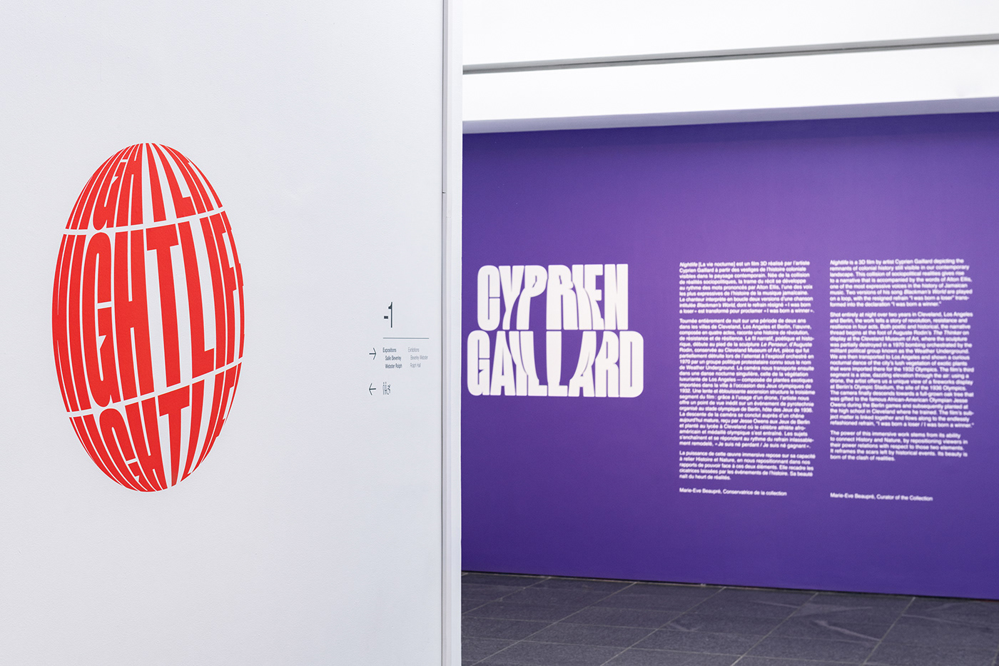 3D bold campaign colorful cyprien gaillard Exhibition  Montreal museum poster typography  