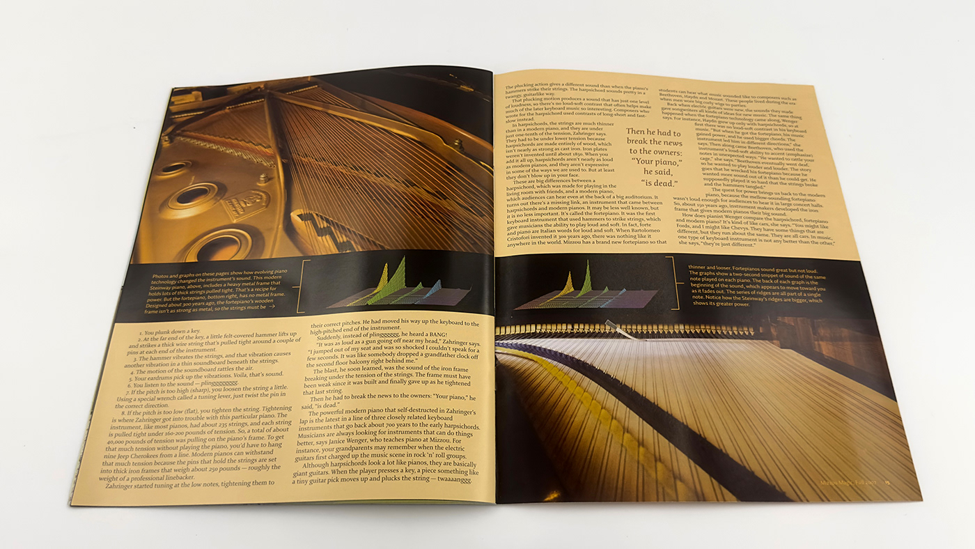 art direction  editorial design  magazine magazine layout