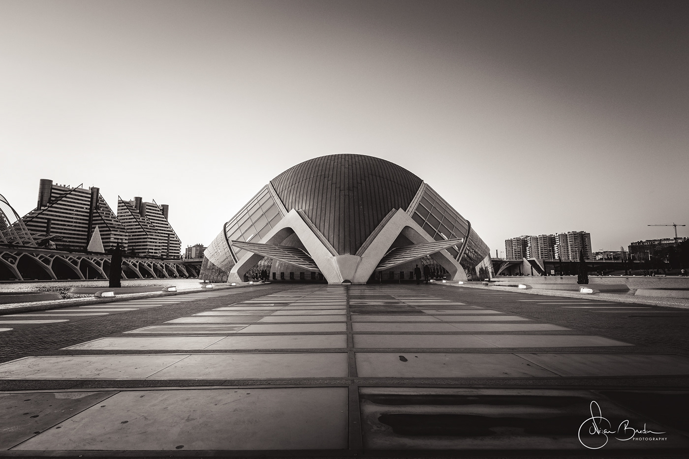 architecture architectural photography valencia black and white b&w monochrome Photography  City of Arts science