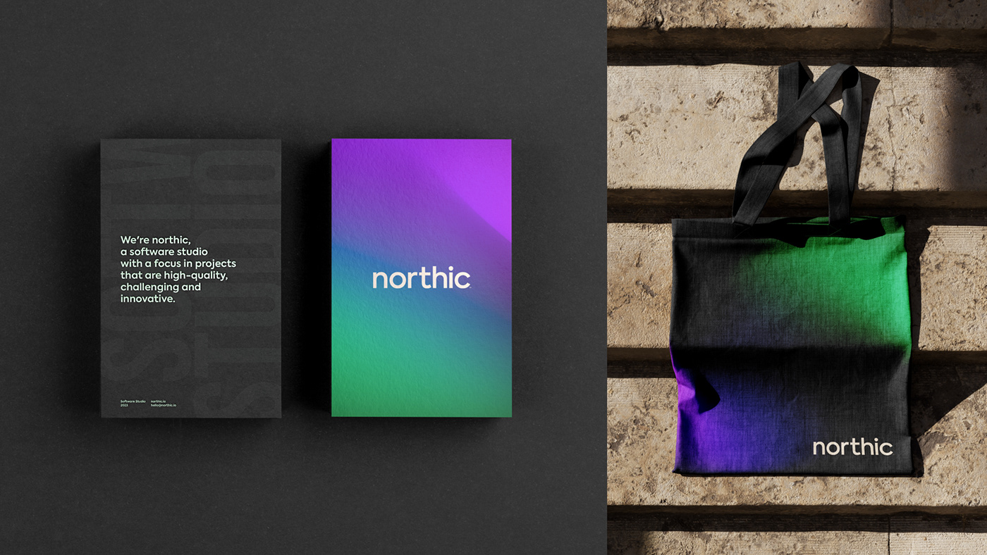 Northern Lights software company visual identity branding  eagle green purple north typography   IT