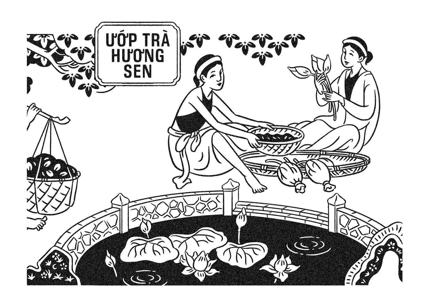 vietnam hochiminh tea branding  vietnam traditional Packaging ILLUSTRATION 