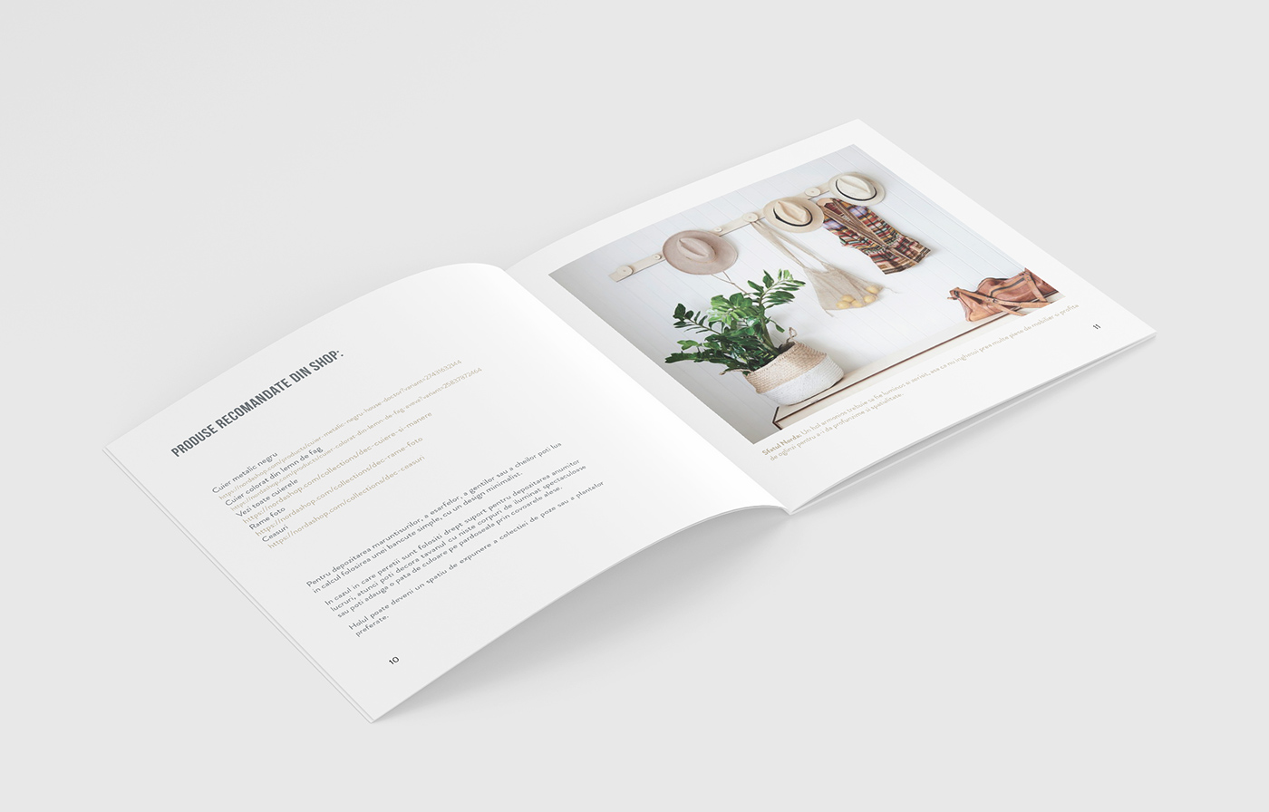 modern graphic design  brochure design minimalist style clean branding 