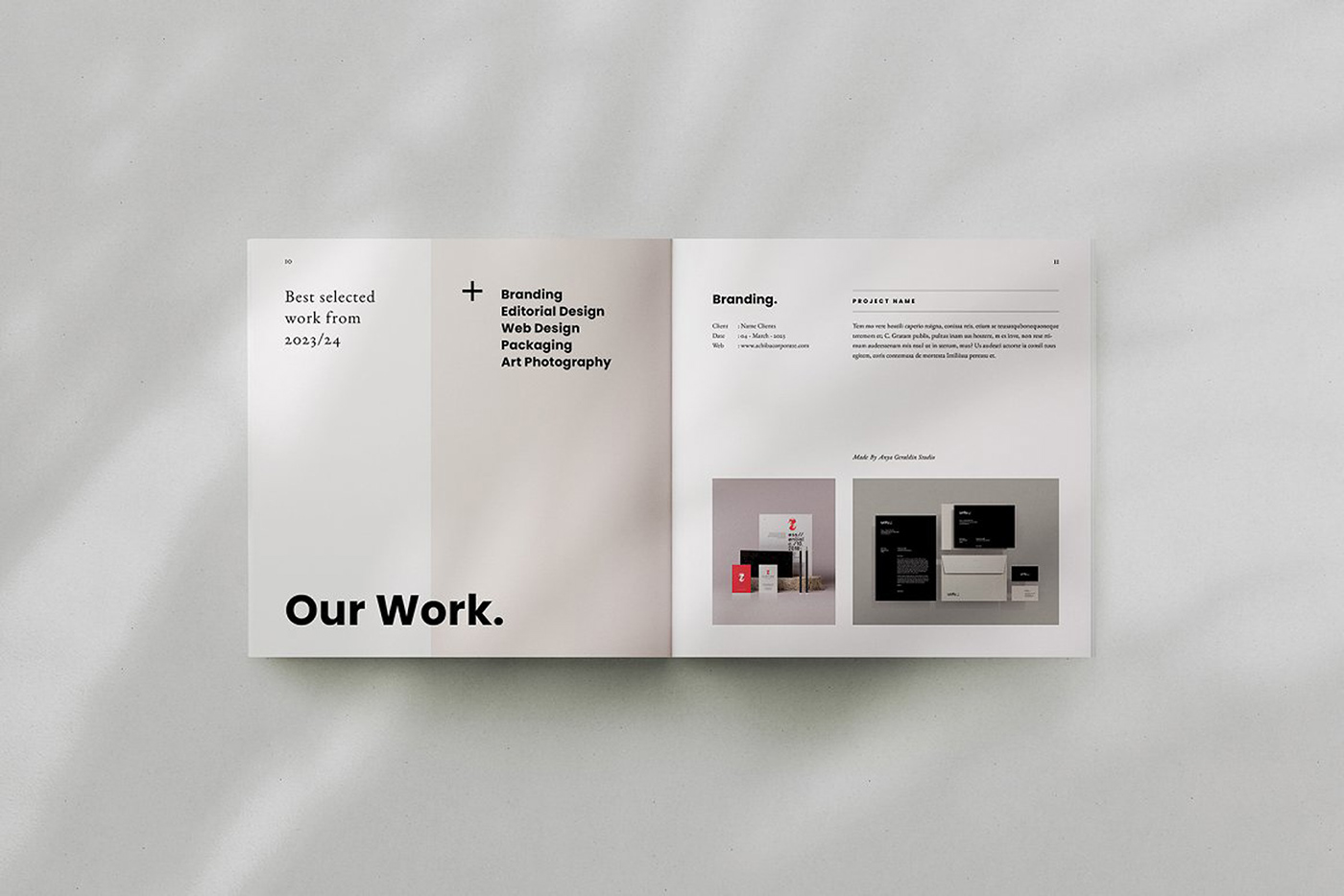 brochure clean creative design portfolio designer graphic design  minimal portfolio project portfolio Resume Portfolio