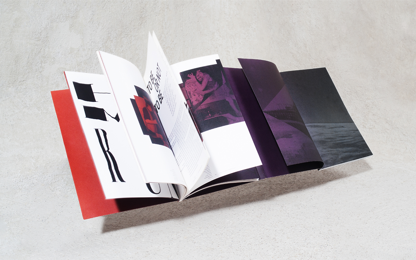 printdesign editorial Rare Book book art bi-thematic analogue user experience publication typography   concept