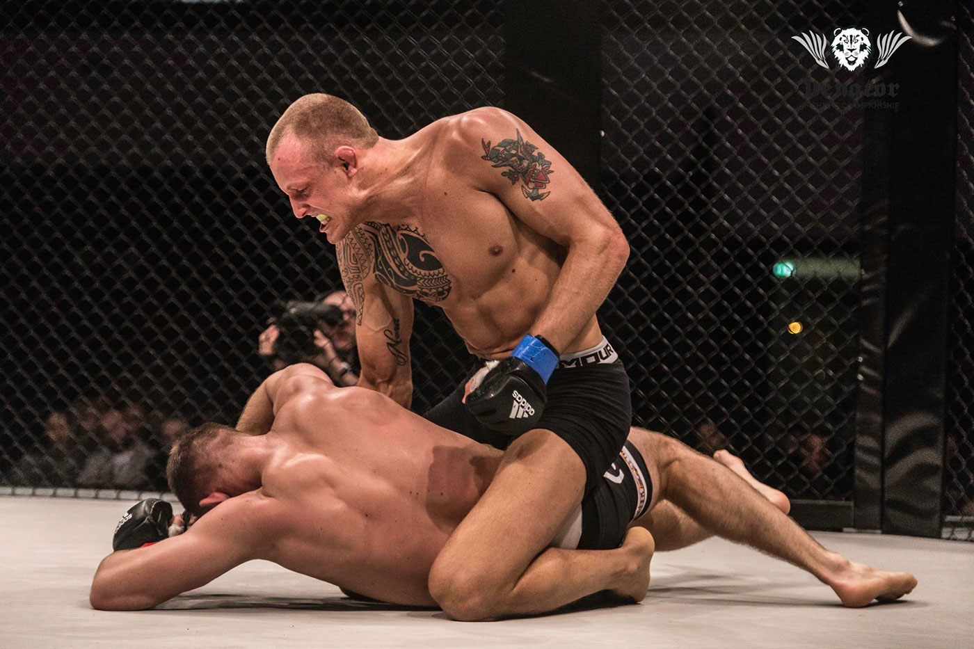 venator UFC MMA sport FOX sports SKY promo opener fight martial art