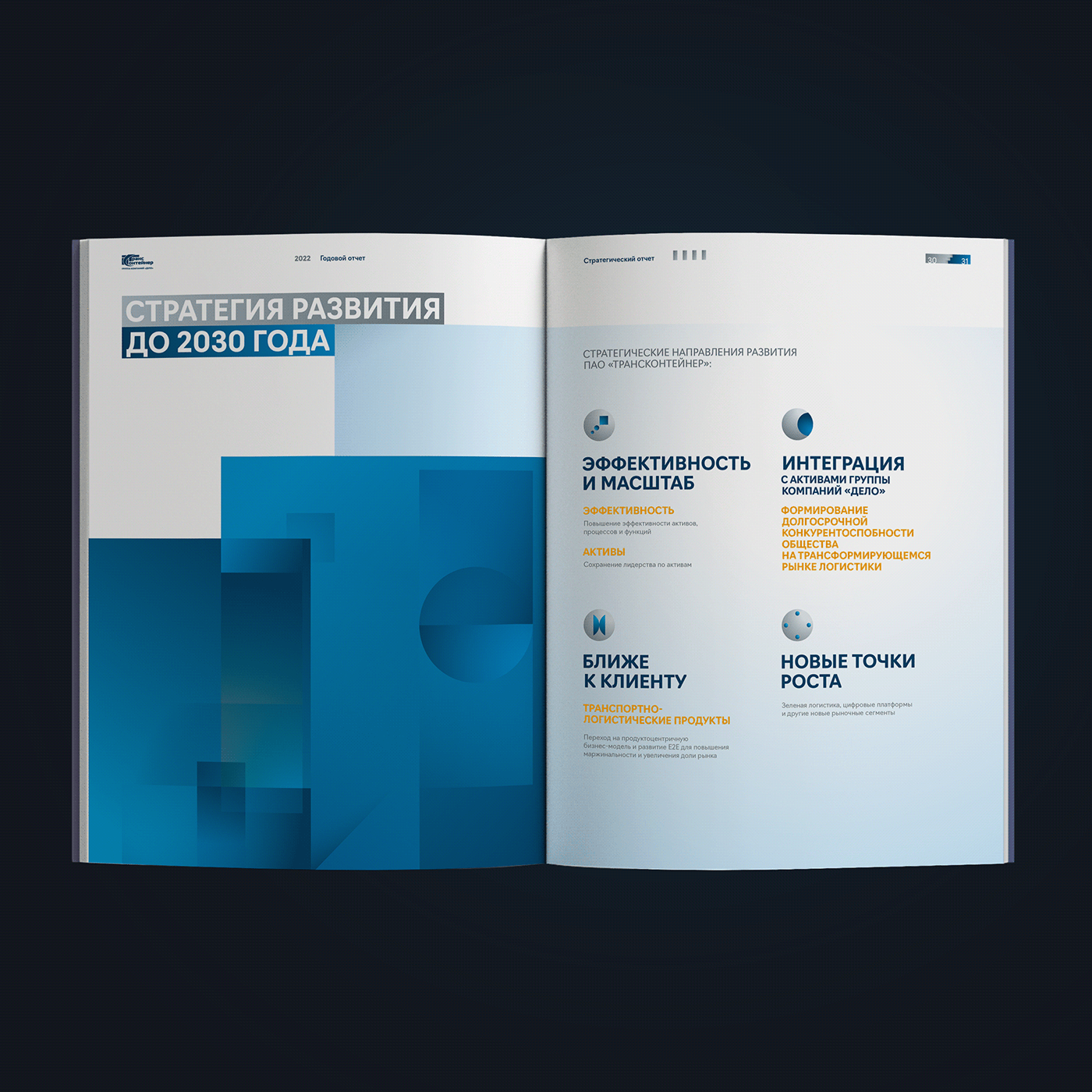 annual report book graphic design  трансконтейнер