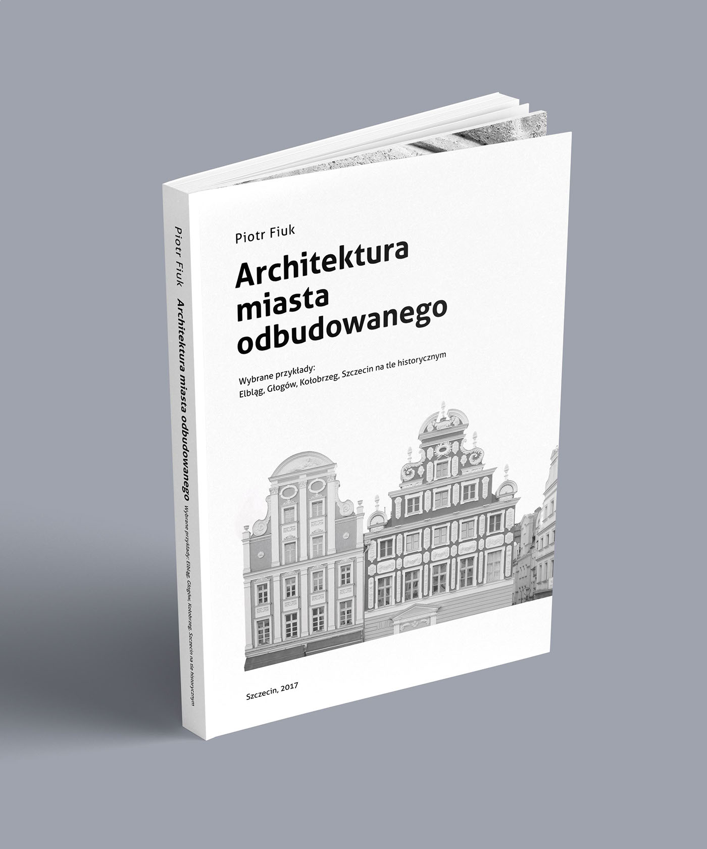 architecture minimal design book cover Photography  black & white Szczecin graphic design 
