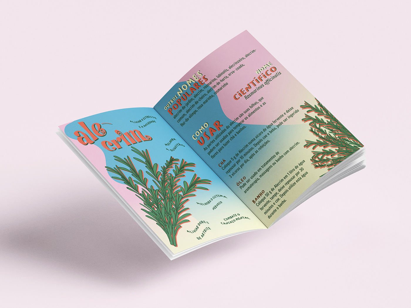 arte digital book design diagramación Flores ILLUSTRATION  impresso medicines plants
