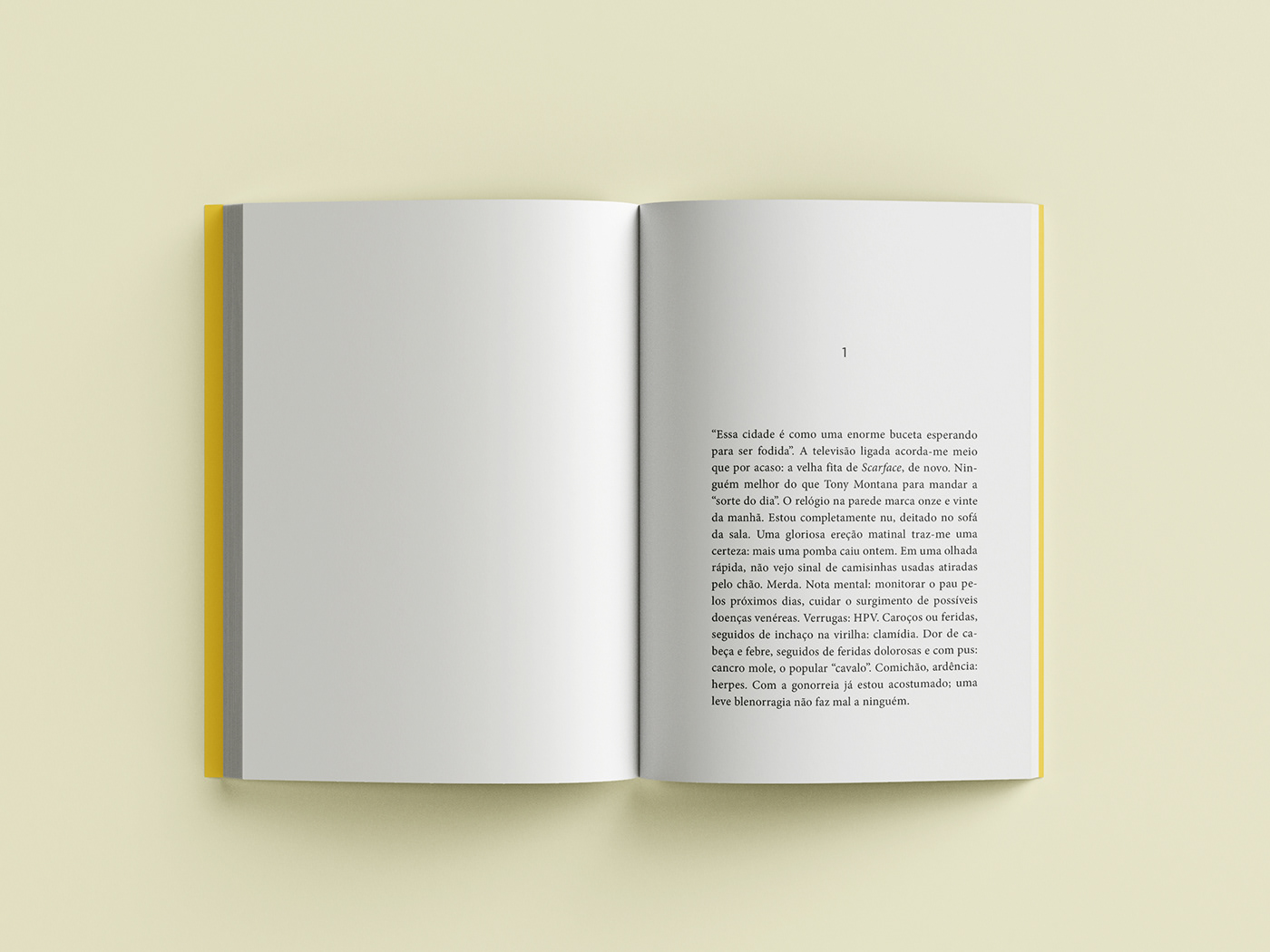 book book cover cover design design gráfico diagramação editorial editorialdesign graphic design  Layout typography  