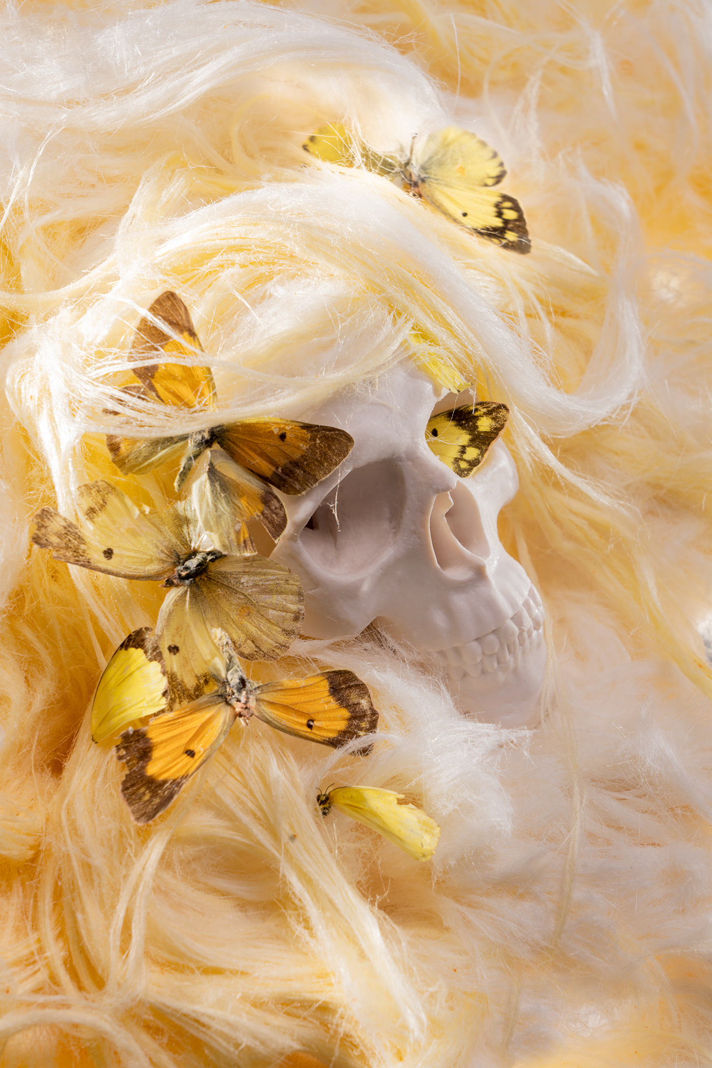 Photography  photographer photo still life photography Stage Photography Flowers skull death skullart stagephotography