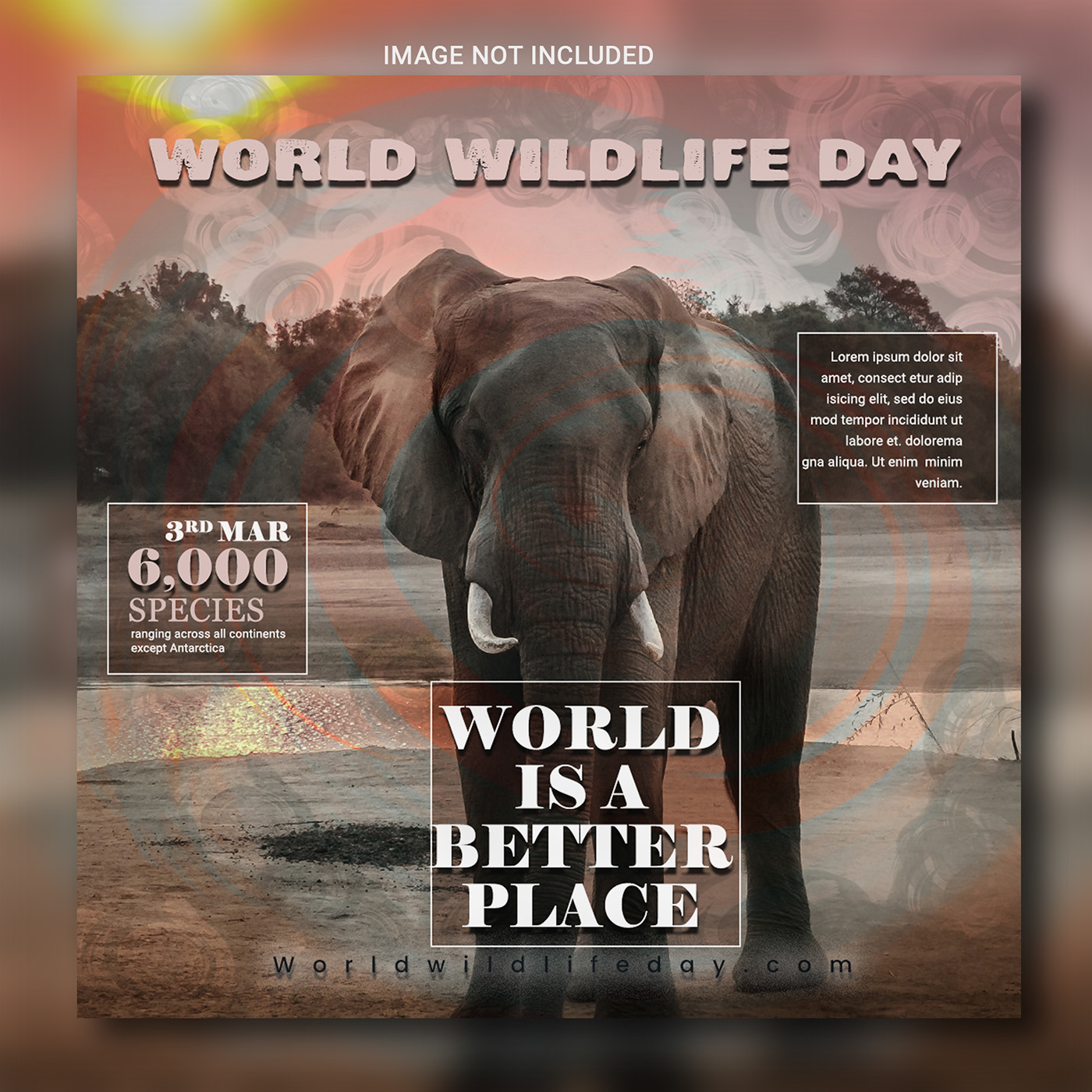 wildlife social media post banner