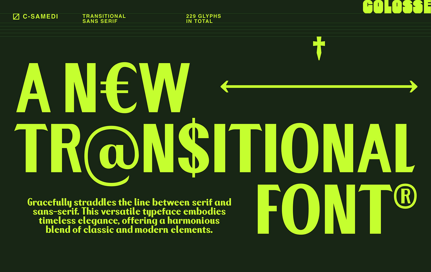 display font Display sans serif Typeface lettering type design elegant sophisticated timeless transtional