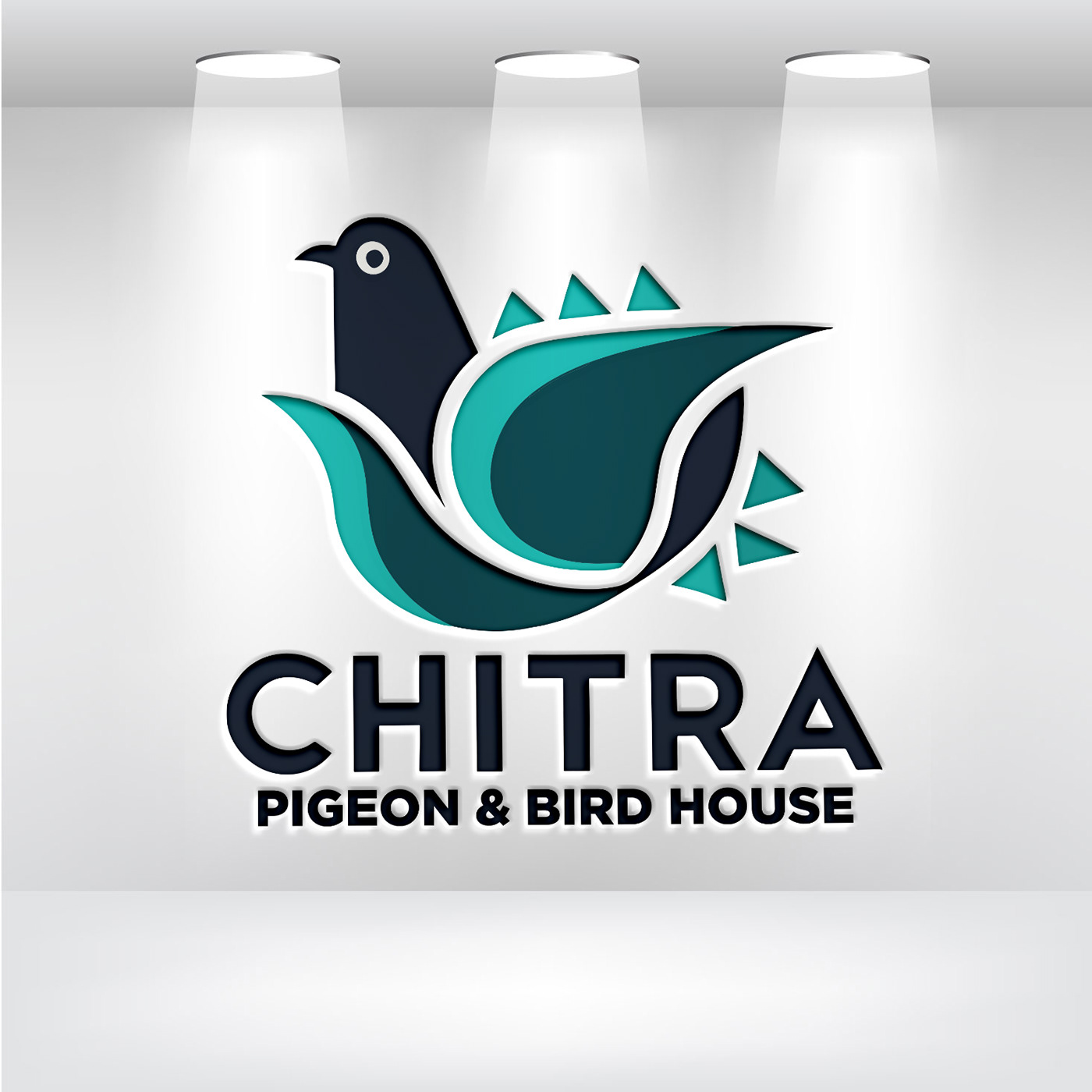 bird animal logo Logo Design Logotype logos Logotipo brand identity adobe illustrator Graphic Designer