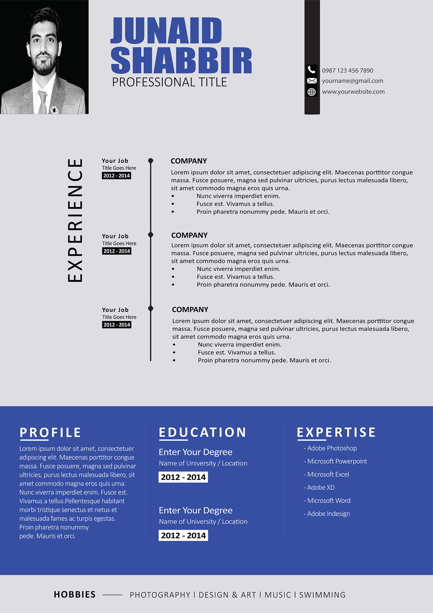 Curriculum Vitae CV cv design infographic infographic resume Kamran Shabbir KS portfolio Resume resume design resume template