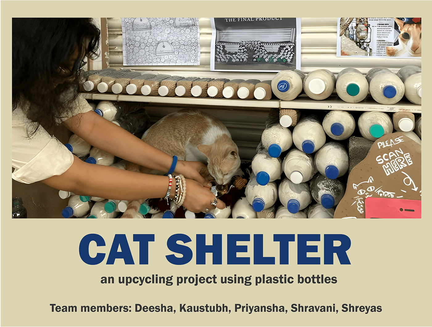 animal shelter upcycle upcycling designer productdesign DESIGNSTUDENT plasticbottle catshelter plasticwaste