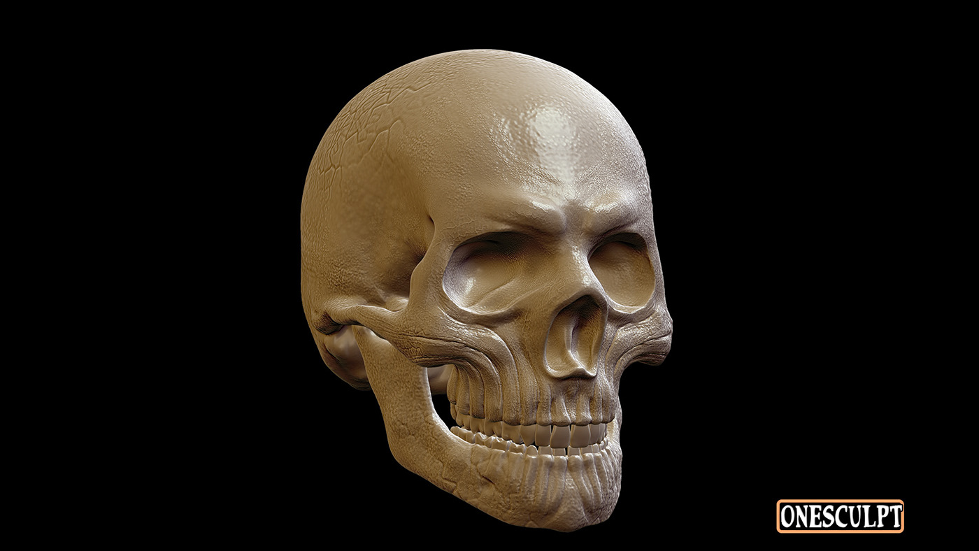 3D Character 3d modeling Render sculpting  skull Skull art zbrush sculpt