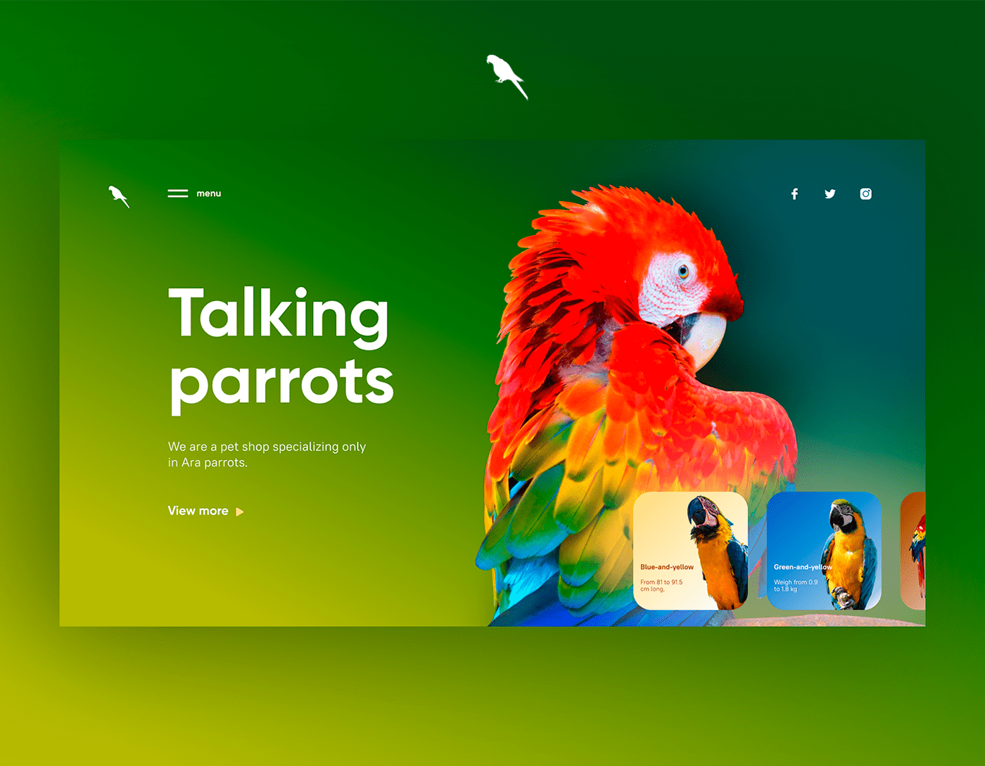 animal colorful home page landing parrot talking parrots UI ux животные попугай