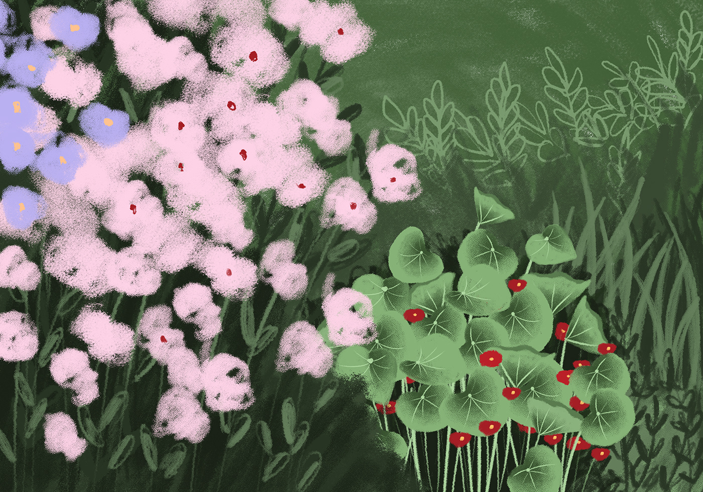 Adobe Photoshop blooming digital illustration Drawing  Flowers garden green ILLUSTRATION  leaves summer