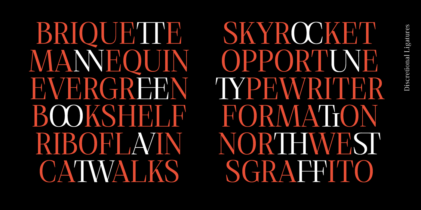 DEBIRA download font magazines serif Serif Font specimen Typeface typography   display serif