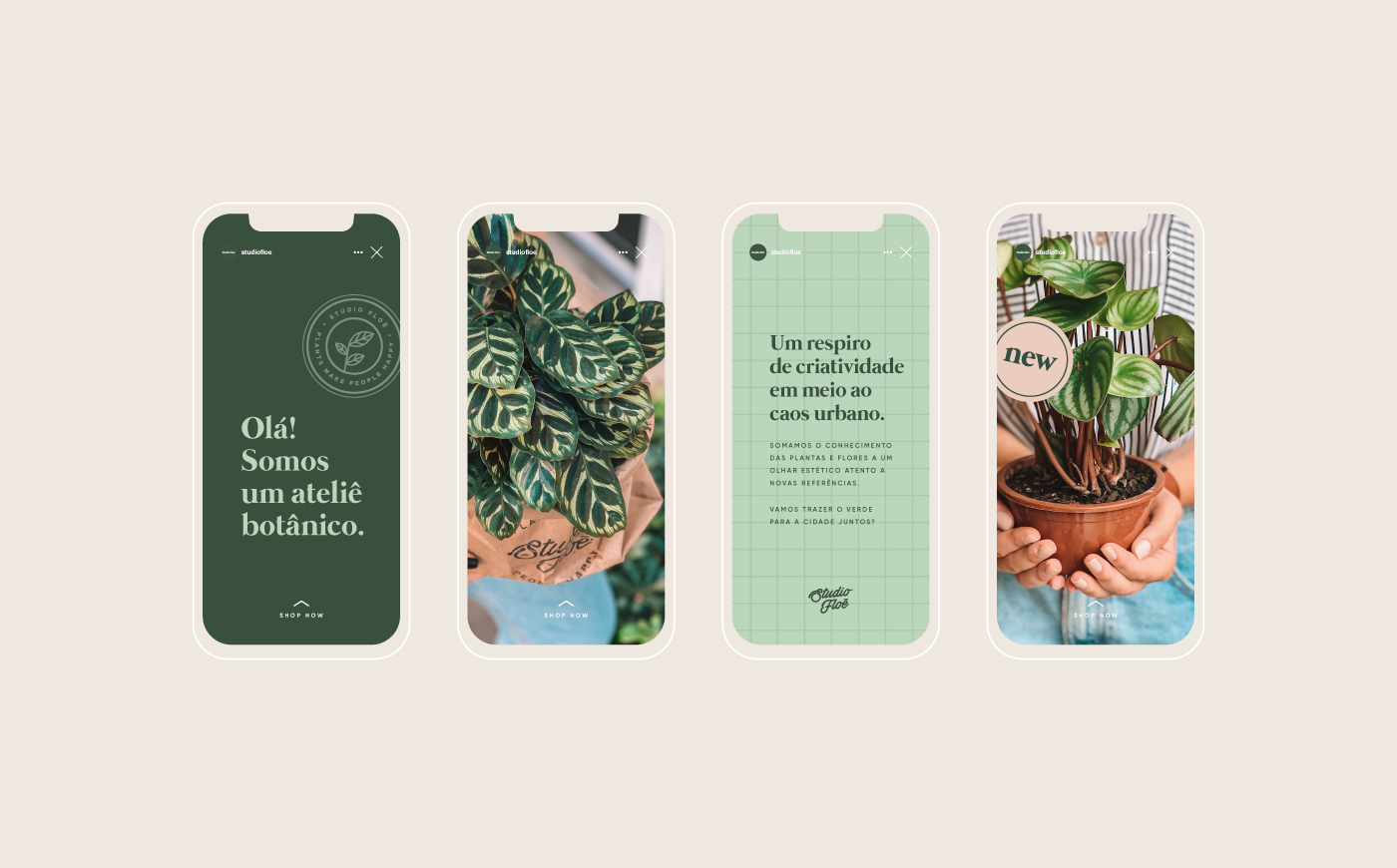 botanical branding  florist graphic design  Nature Plant Shop plants urban jungle visual identity Flower Shop