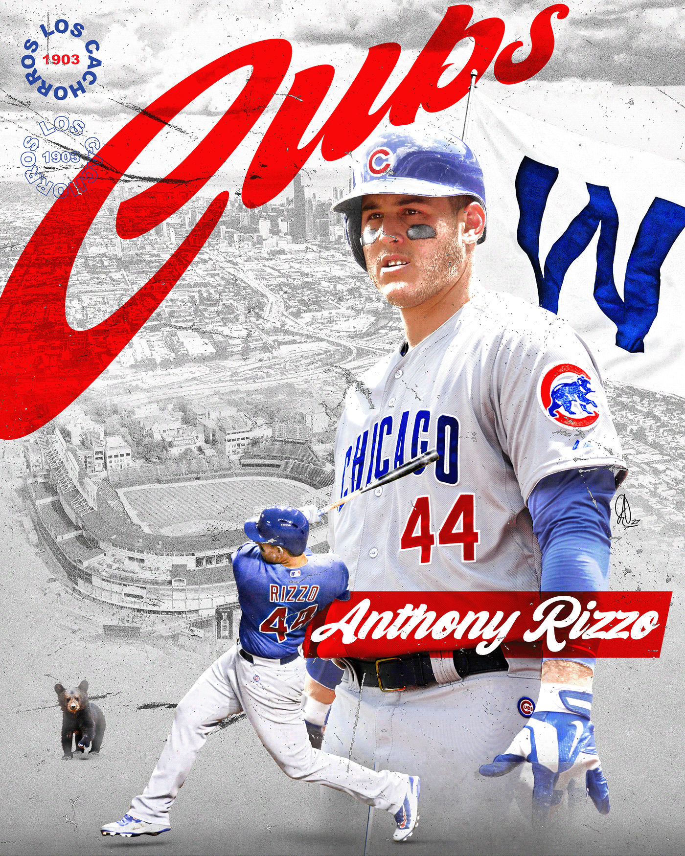 Chicago Cubs 2020 on Behance