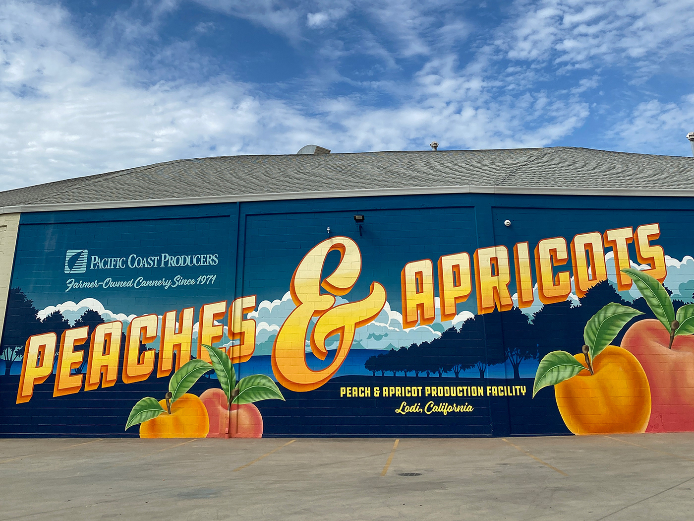 apricots California Fruit fruit crate Jamie Stark Lodi Mural peaches typography   vintage