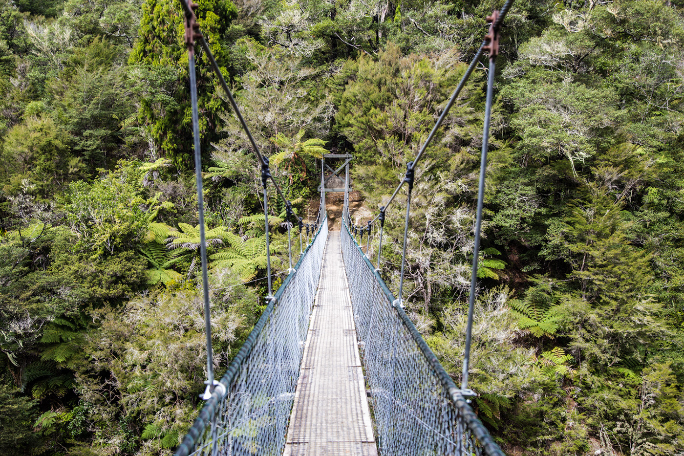 New Zealand landscape photography digital photography  Travel journey Nature guanghzou travel photography