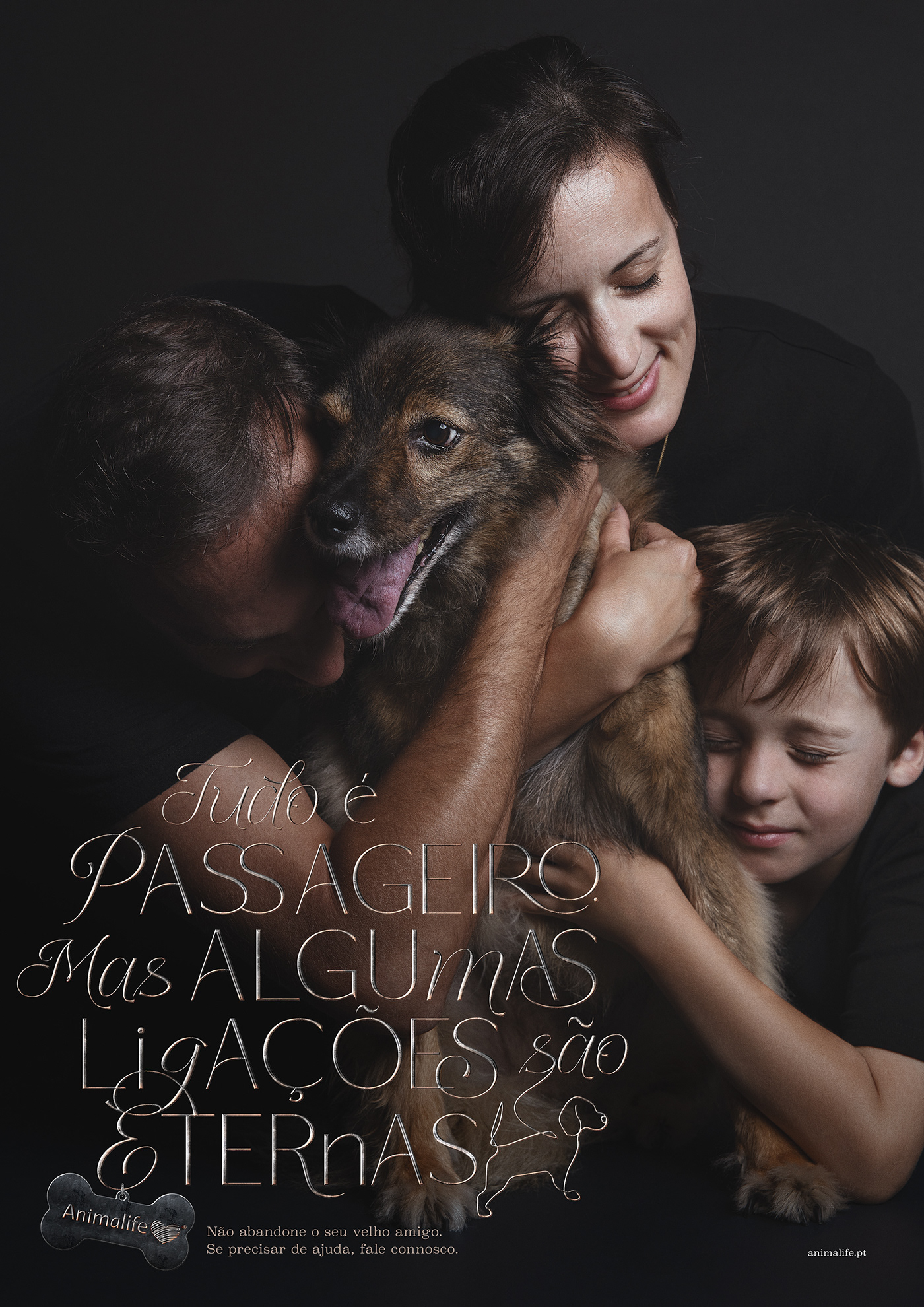 animal dog Photography  photoshoot portrait retouch