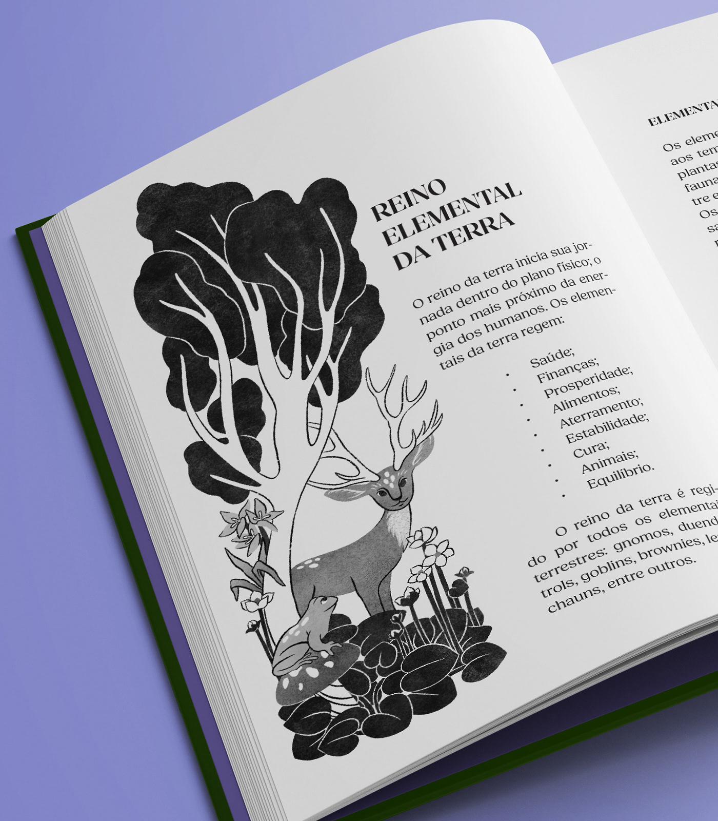 ILLUSTRATION  book cover capa de livro Ilustração ilustração Digital ilustracion ilustración digital Procreate magia gnome