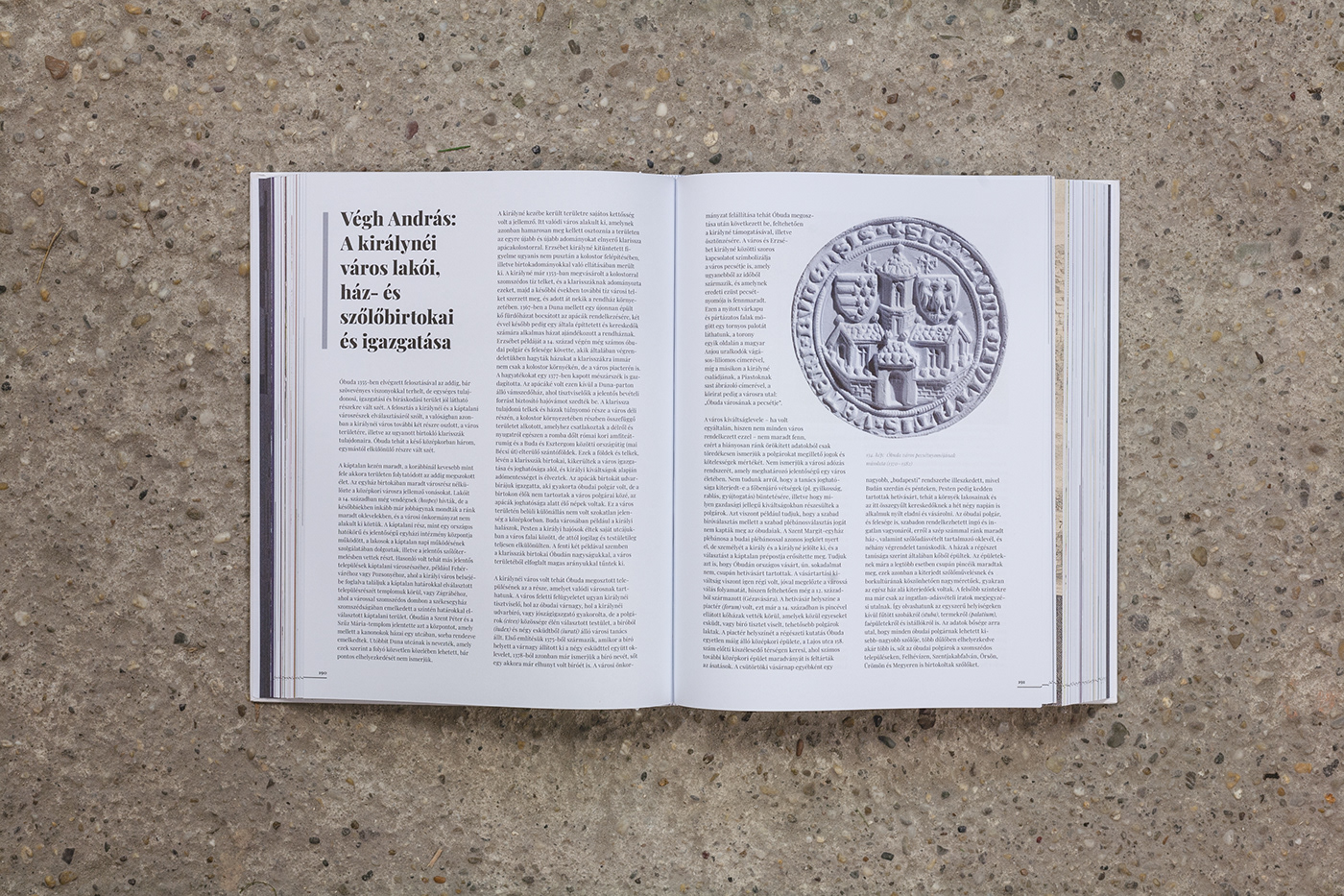 book Book Layout budapest editorial design  historical history lexicon óbuda print