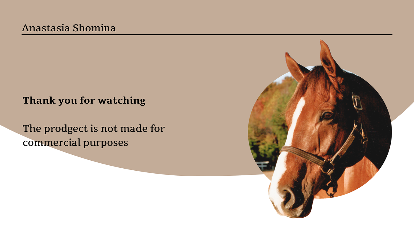 horse landing page Website Figma