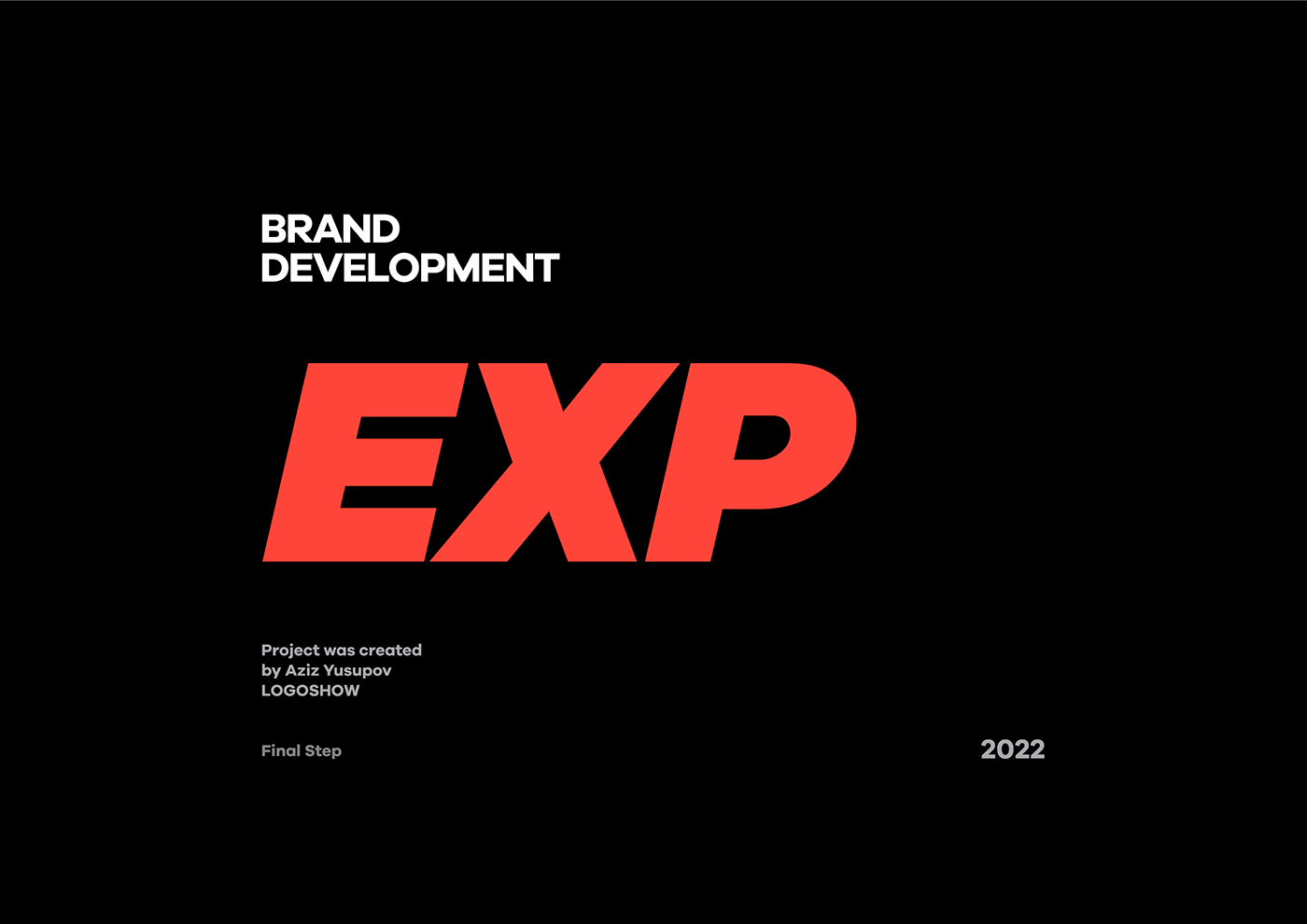 branding  camera Corporate Identity Logo Design media pro Production SMM vfx video