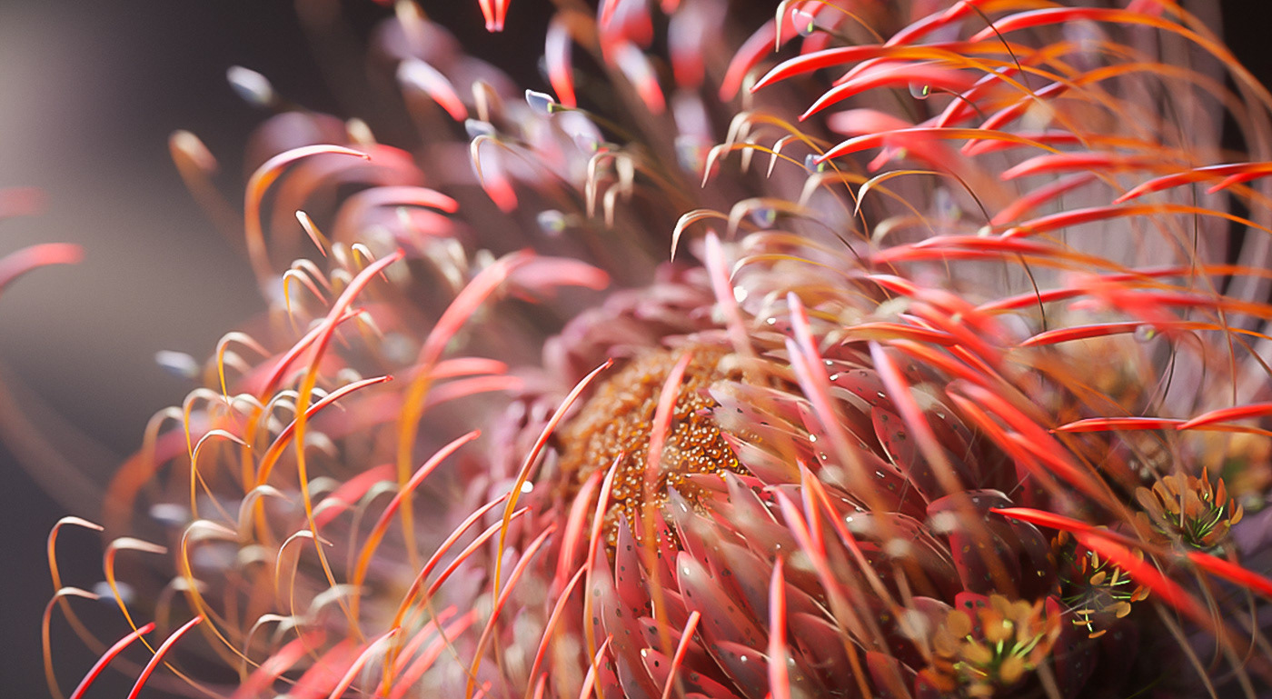 3D 3d animation 3d art 3d plants closeups Flowers ikebana motion design nft