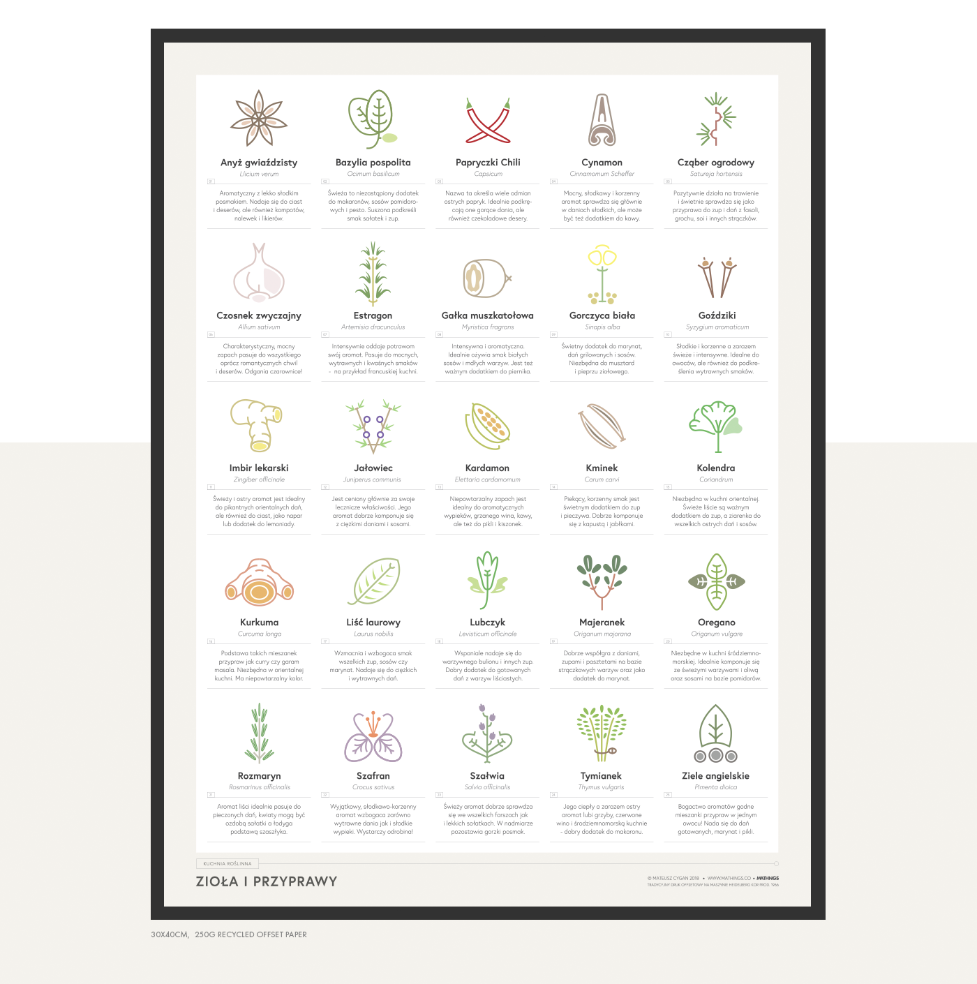 poster Icon herbs spices offset print Kitchen poster Food  illustrations