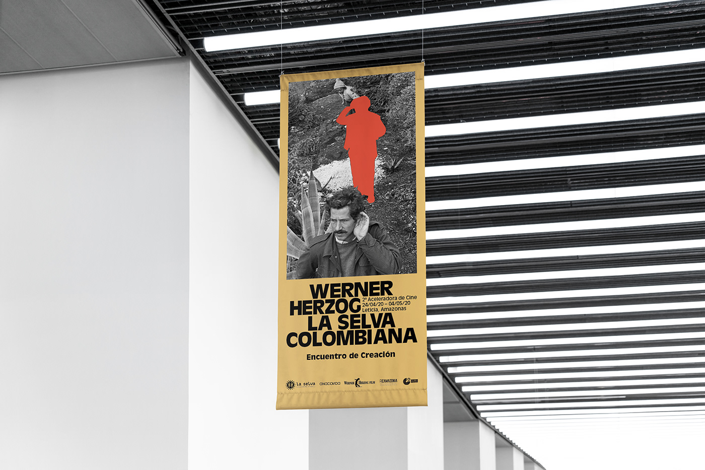 art direction  barcelona campaign cine colombia graphic design  poster typography   Vera Tamayo Werner Herzog