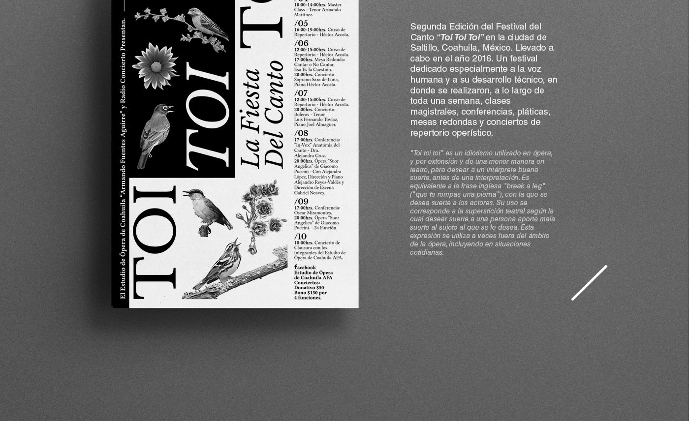 TOI TOI TOI music collague poster design opera birds black and white festival art