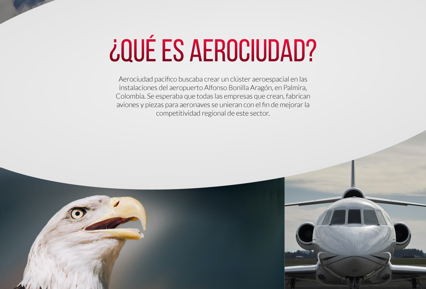 banding identity logo creations design graphic design  colombia eagle