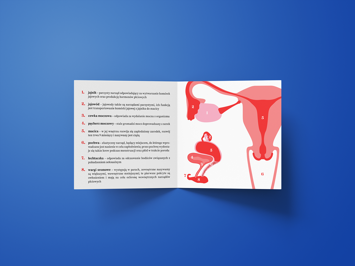 sex sexeducation Education game period ovulation menstruation sexED