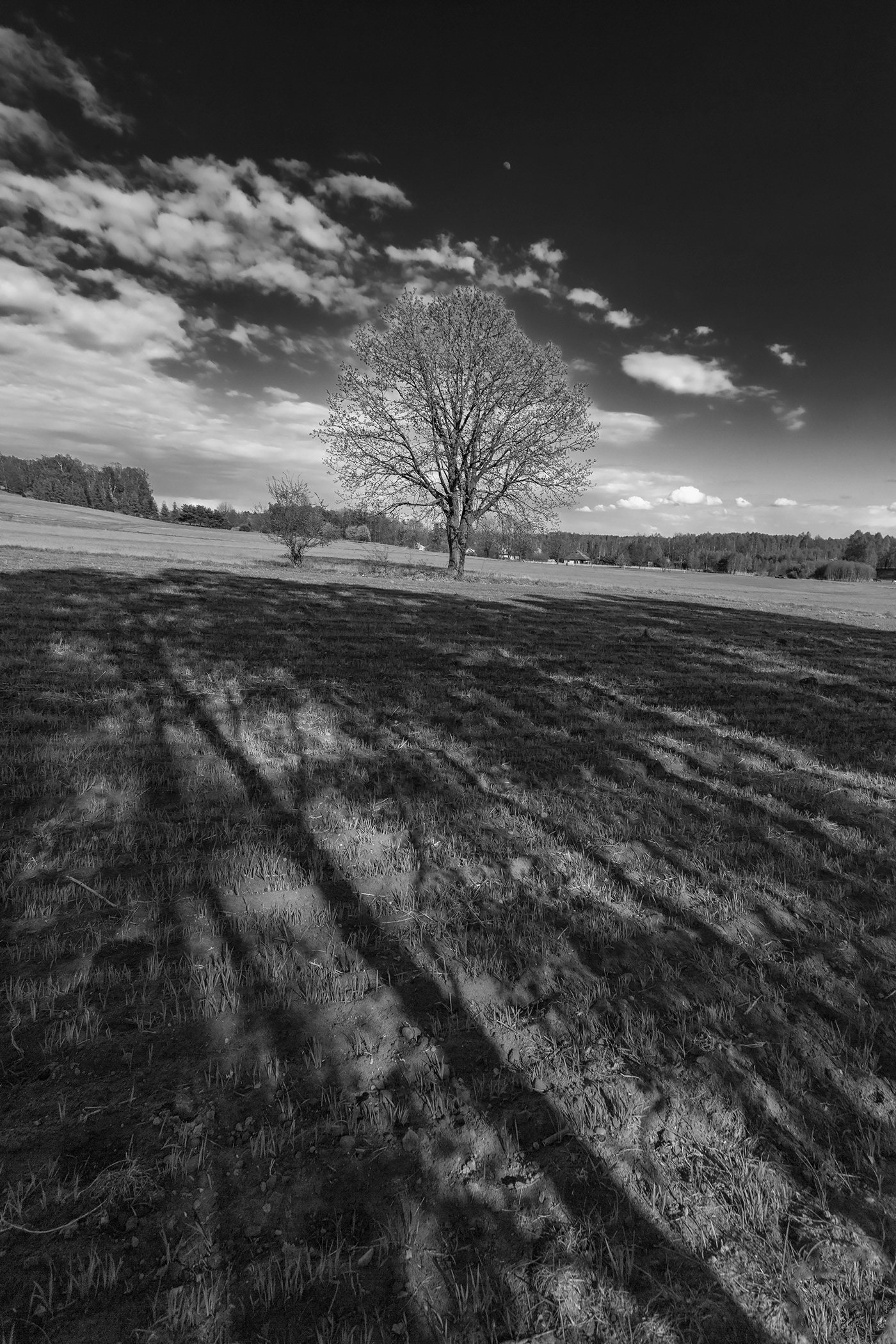 black and white clouds Cloudy Sky countryside field hill rural Single Tree SKY spring