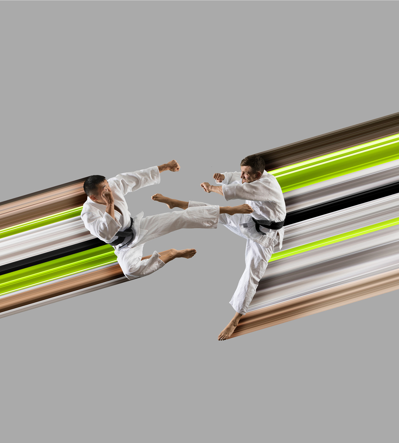 branding  fight fighting art identity logo Logotype sport Teakwondo